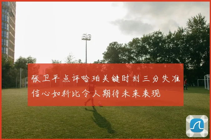 张卫平点评哈珀关键时刻三分失准信心如科比令人期待未来表现